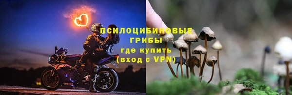 ALPHA PVP Новозыбков