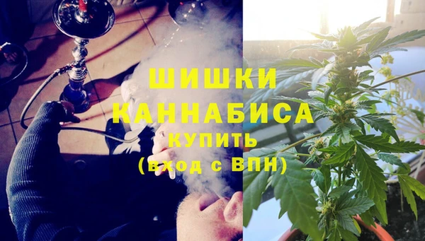 ALPHA PVP Новозыбков