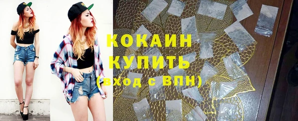 ALPHA PVP Новозыбков